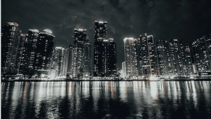 龙物视频在线看免费观看 - 城市之光：霓虹背后的人间烟火